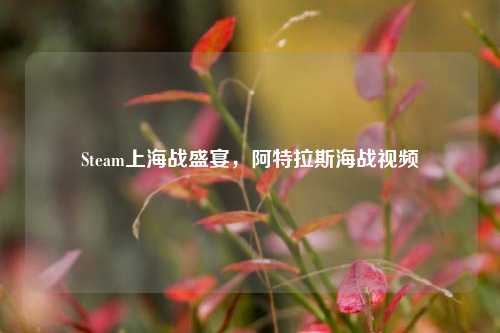 Steam上海战盛宴，阿特拉斯海战视频