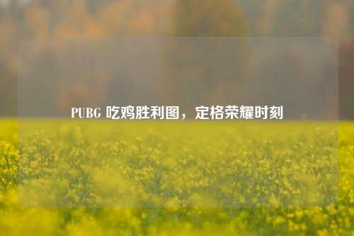 PUBG 吃鸡胜利图，定格荣耀时刻