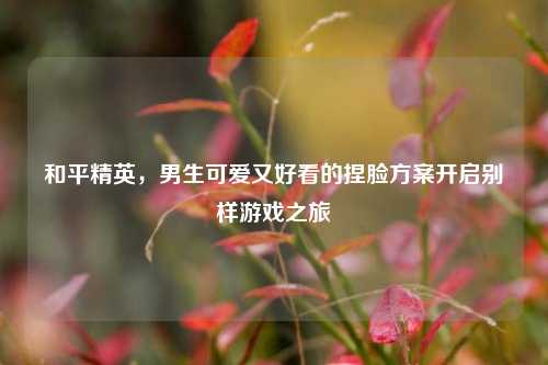 和平精英，男生可爱又好看的捏脸方案开启别样游戏之旅