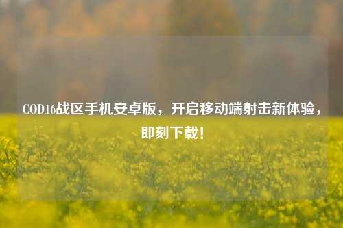 COD16战区手机安卓版，开启移动端射击新体验，即刻下载！