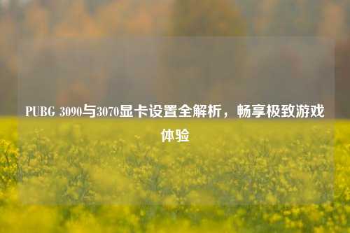 PUBG 3090与3070显卡设置全解析，畅享极致游戏体验