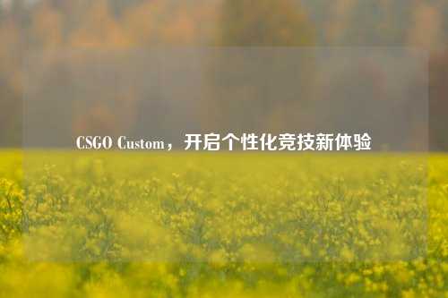 CSGO Custom，开启个性化竞技新体验