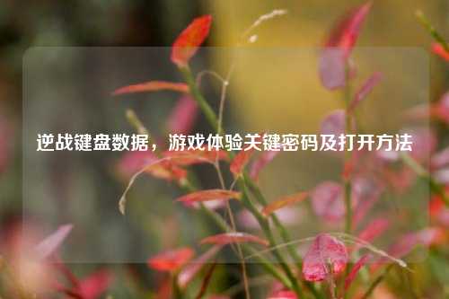 逆战键盘数据，游戏体验关键密码及打开方法