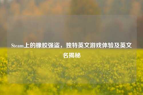 Steam上的橡胶强盗，独特英文游戏体验及英文名揭秘