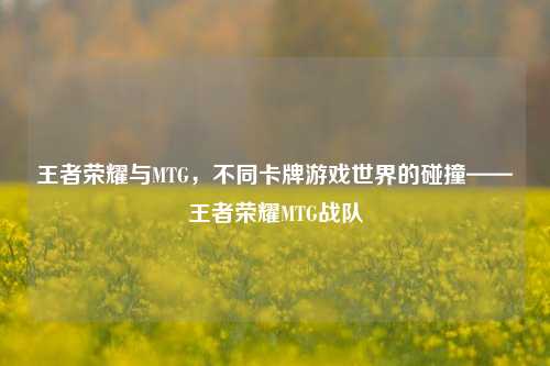 王者荣耀与MTG，不同卡牌游戏世界的碰撞——王者荣耀MTG战队