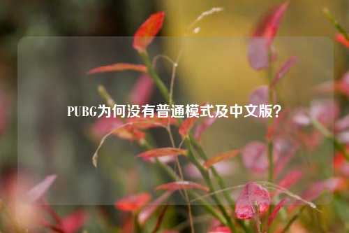 PUBG为何没有普通模式及中文版？