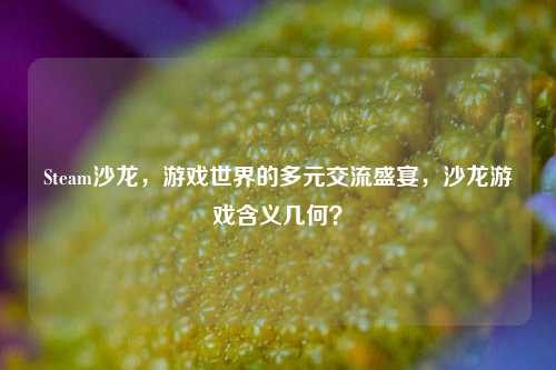 Steam沙龙，游戏世界的多元交流盛宴，沙龙游戏含义几何？