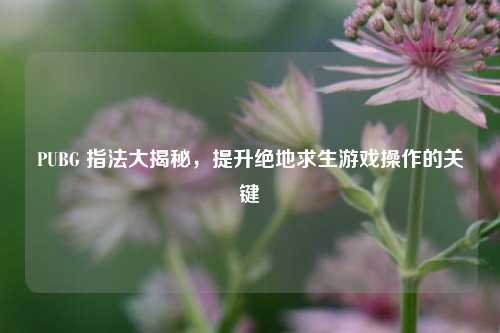 PUBG 指法大揭秘，提升绝地求生游戏操作的关键