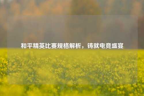 和平精英比赛规格解析，铸就电竞盛宴