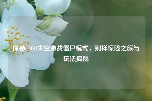 探秘CSGO太空激战僵尸模式，别样惊险之旅与玩法揭秘
