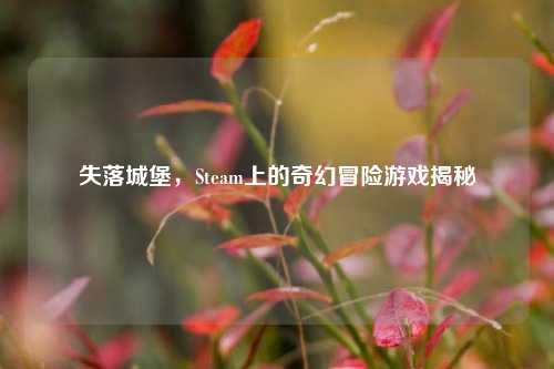 失落城堡，Steam上的奇幻冒险游戏揭秘