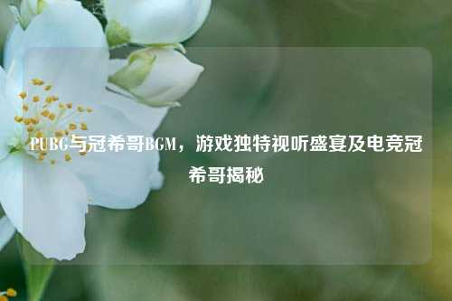 PUBG与冠希哥BGM，游戏独特视听盛宴及电竞冠希哥揭秘