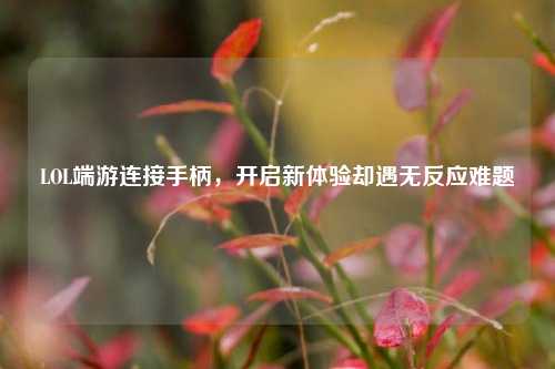 LOL端游连接手柄，开启新体验却遇无反应难题