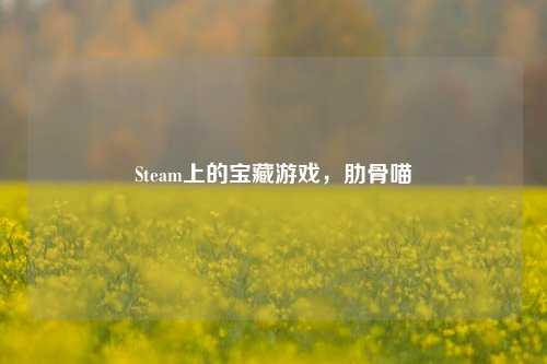 Steam上的宝藏游戏，肋骨喵
