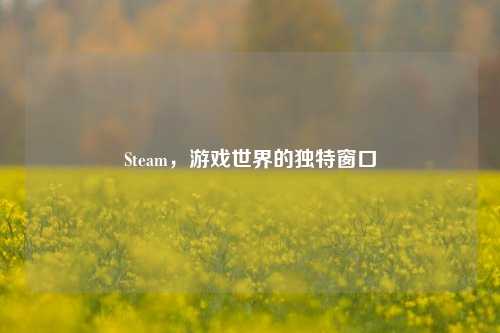Steam，游戏世界的独特窗口