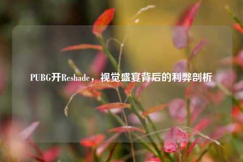 PUBG开Reshade，视觉盛宴背后的利弊剖析