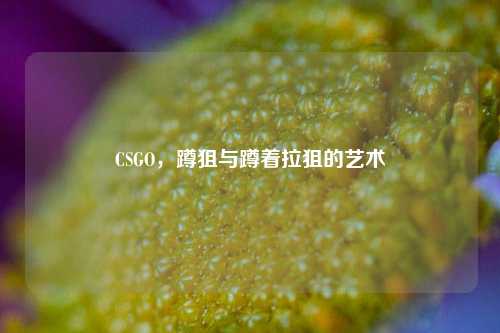 CSGO，蹲狙与蹲着拉狙的艺术