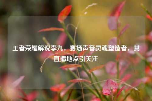 王者荣耀解说李九，赛场声音灵魂塑造者，其直播地点引关注