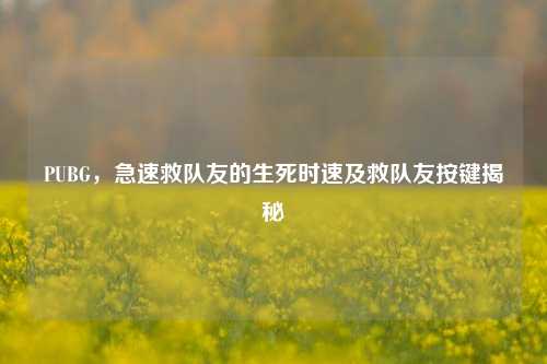 PUBG，急速救队友的生死时速及救队友按键揭秘