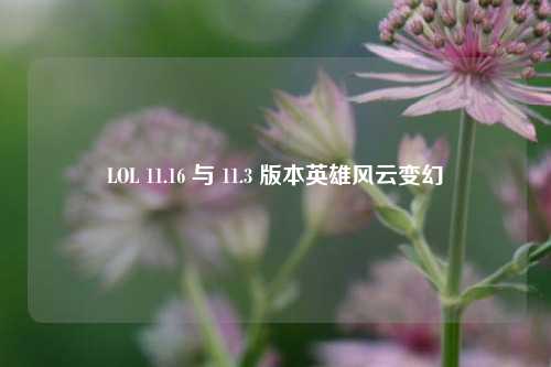LOL 11.16 与 11.3 版本英雄风云变幻