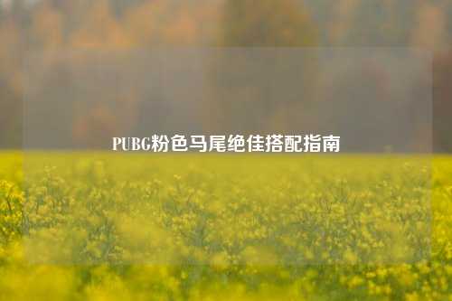 PUBG粉色马尾绝佳搭配指南