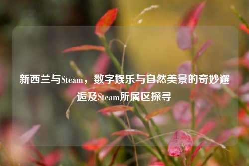 新西兰与Steam，数字娱乐与自然美景的奇妙邂逅及Steam所属区探寻