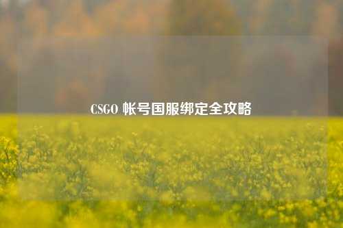 CSGO 帐号国服绑定全攻略