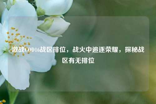 激战COD16战区排位，战火中追逐荣耀，探秘战区有无排位