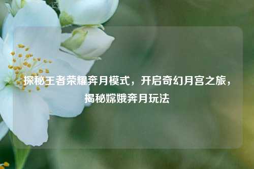 探秘王者荣耀奔月模式，开启奇幻月宫之旅，揭秘嫦娥奔月玩法