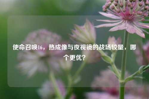 使命召唤16，热成像与夜视镜的战场较量，哪个更优？
