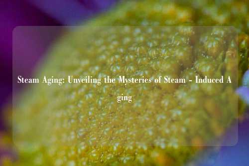 Steam Aging: Unveiling the Mysteries of Steam - Induced Aging