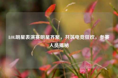 LOL明星表演赛明星齐聚，共筑电竞狂欢，参赛人员揭秘