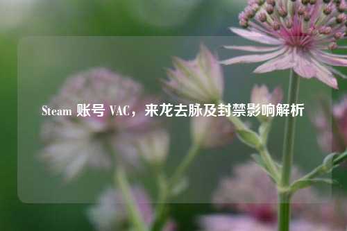 Steam 账号 VAC，来龙去脉及封禁影响解析