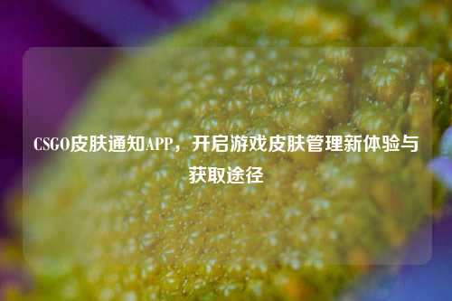 CSGO皮肤通知APP，开启游戏皮肤管理新体验与获取途径