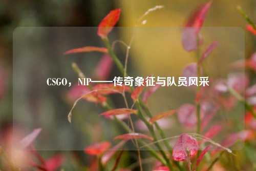 CSGO，NIP——传奇象征与队员风采