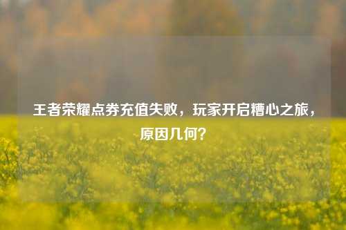 王者荣耀点券充值失败，玩家开启糟心之旅，原因几何？
