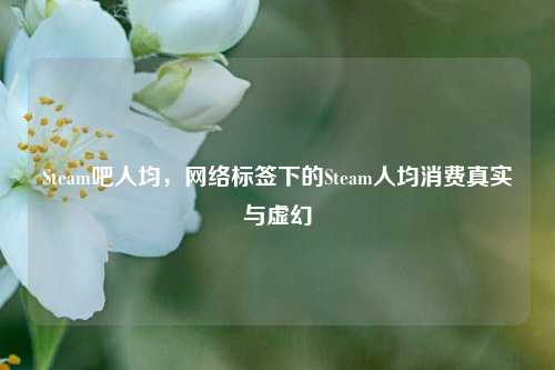 Steam吧人均，网络标签下的Steam人均消费真实与虚幻