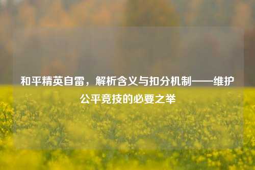 和平精英自雷，解析含义与扣分机制——维护公平竞技的必要之举