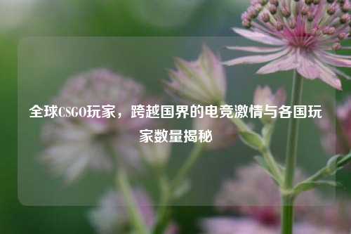全球CSGO玩家，跨越国界的电竞激情与各国玩家数量揭秘