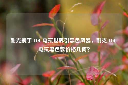 耐克携手 LOL 电玩世界引黑色风暴，耐克 LOL 电玩黑色款价格几何？