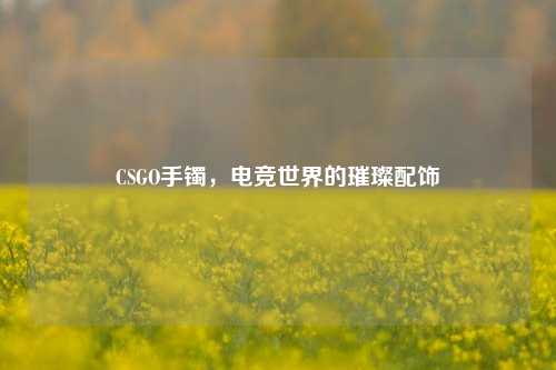 CSGO手镯，电竞世界的璀璨配饰
