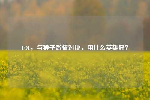 LOL，与猴子激情对决，用什么英雄好？