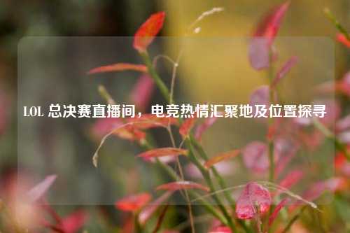 LOL 总决赛直播间，电竞热情汇聚地及位置探寻