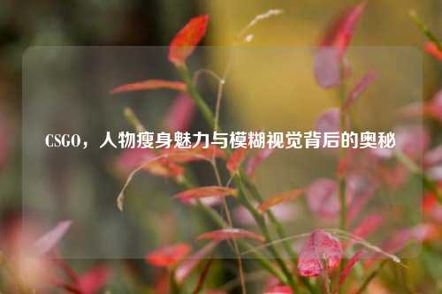 CSGO，人物瘦身魅力与模糊视觉背后的奥秘