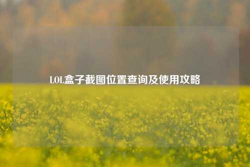 LOL盒子截图位置查询及使用攻略