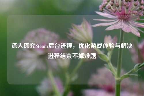深入探究Steam后台进程，优化游戏体验与解决进程结束不掉难题