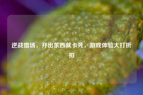 逆战猎场，开出东西就卡死，游戏体验大打折扣