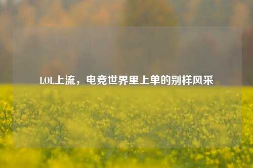LOL上流，电竞世界里上单的别样风采