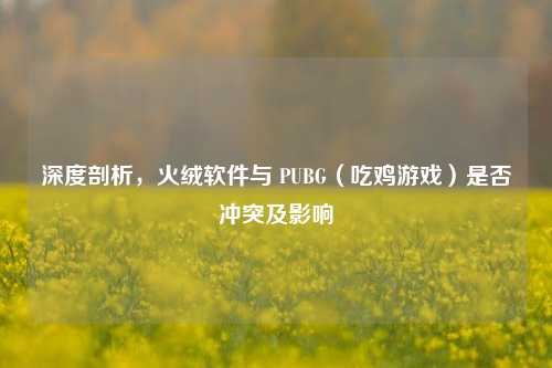 深度剖析，火绒软件与 PUBG（吃鸡游戏）是否冲突及影响