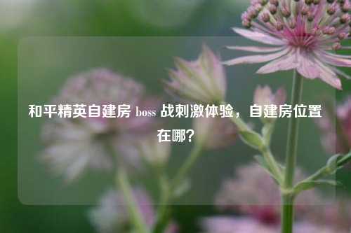 和平精英自建房 boss 战刺激体验，自建房位置在哪？